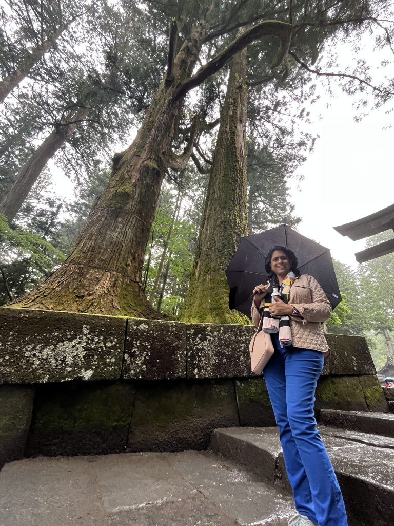 Tochigi in One Day: Kegon Falls & Shinkyo Bridge