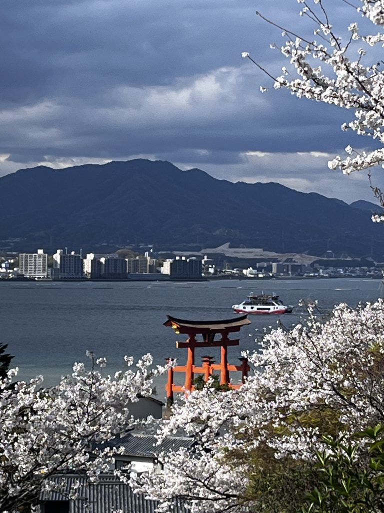Hiroshima in One Day: Peace Park & Tour ended at wine bar Vivi