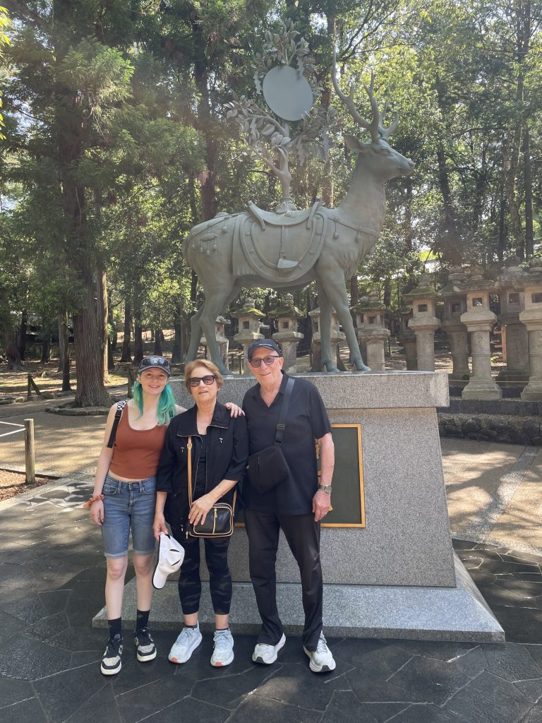 Nara in One Day: Kasuga Taisha Shrine & Naramachi