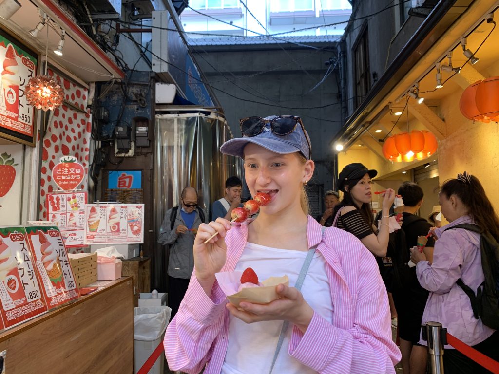Tokyo Customized Full-Day Private Tour