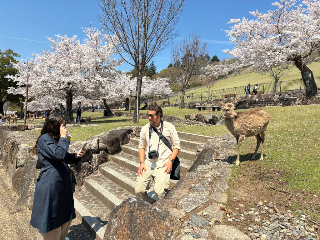 Nara in One Day: Nara Park & Kasuga Taisha Shrine