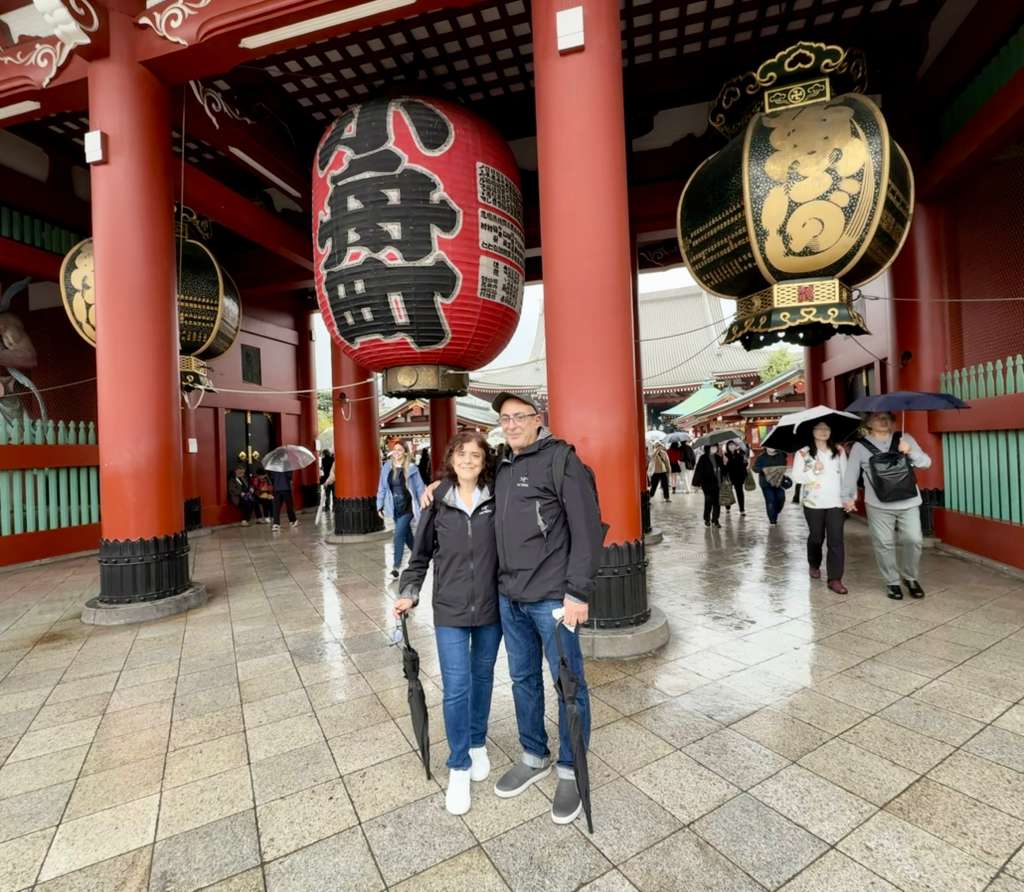 Tokyo Customized Private Tour in 1 Day