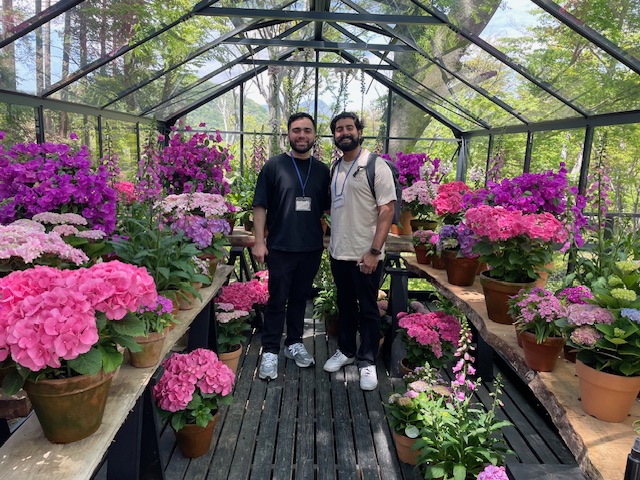 Hakone Customized Private Tour in 1 Day