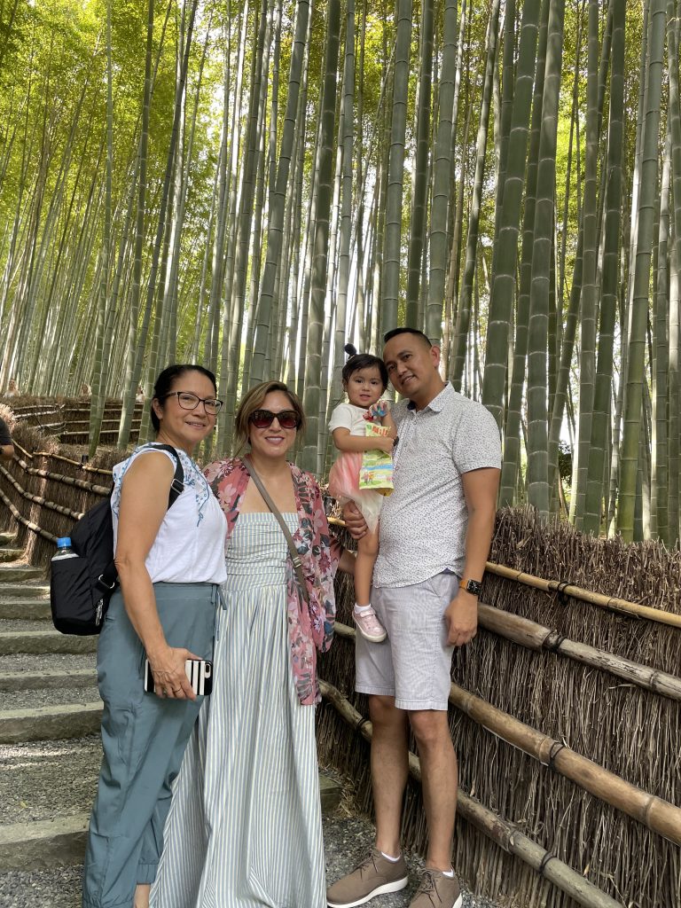 Kyoto: Adashino Nenbutsu-ji Temple & Kinkaku-ji Temple