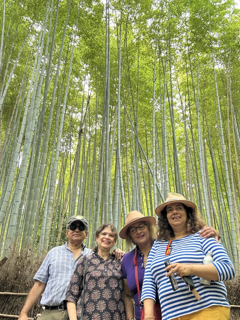 Kyoto Customized Private Tour by Car