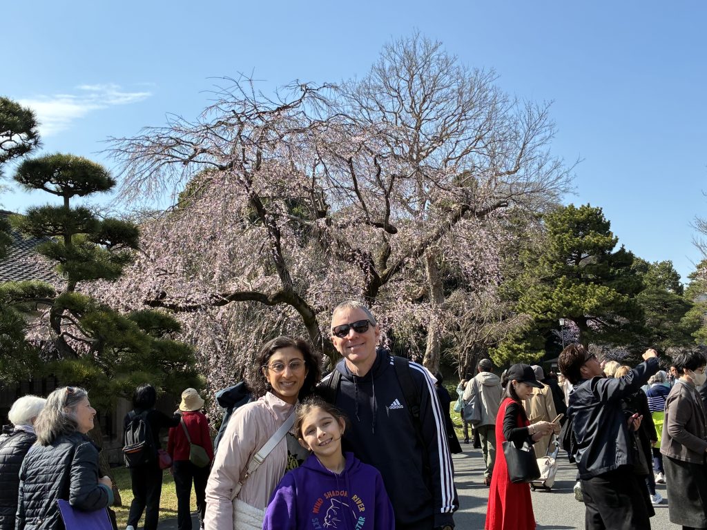 Tokyo Customized Half-Day Tour