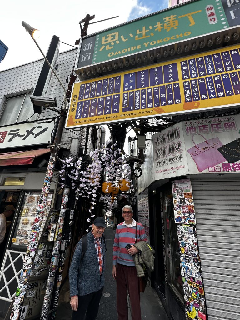 Tokyo Customized Private Tour in 1 Day