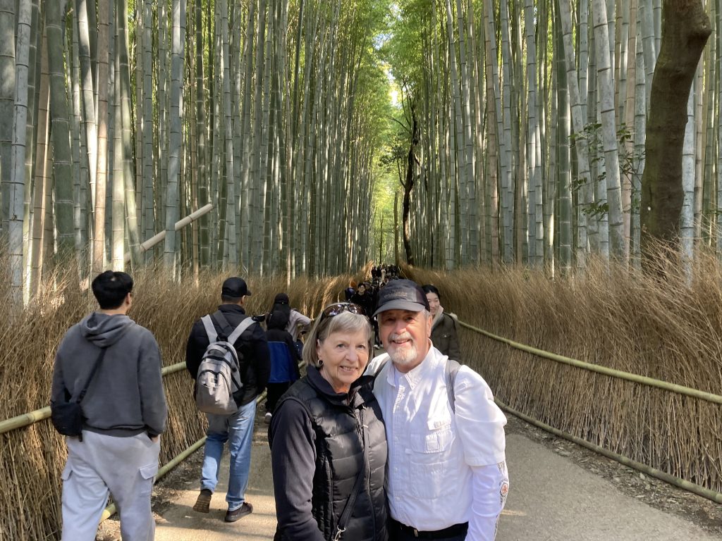 Hyogo in One Day: Fushimi Inari & Kobe Port Terminal