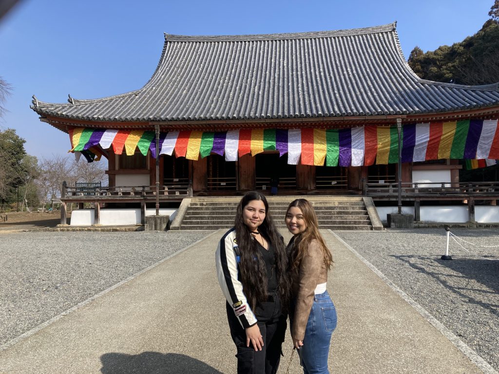 Kyoto in One Day: Daigoji Temple & Eikando Temple