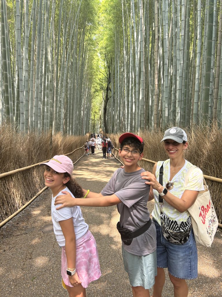 Kyoto Customized Private Tour in 1 Day