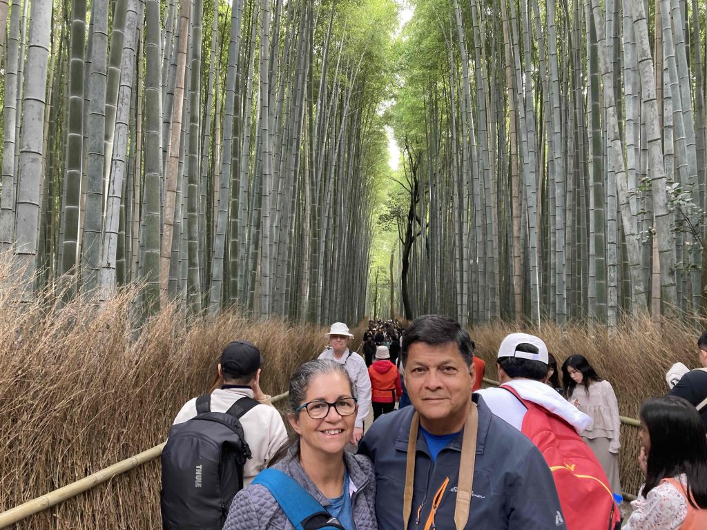 Kyoto Customized Private Tour in 1 Day