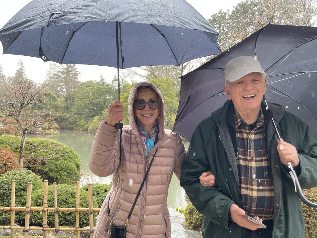 Tochigi in One Day: Board taxi (6-hour taxi tour) & Kegon Falls