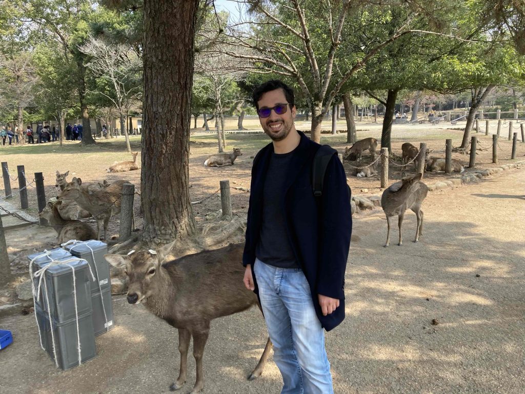 Nara Day Trip from Kyoto: Customized Tour