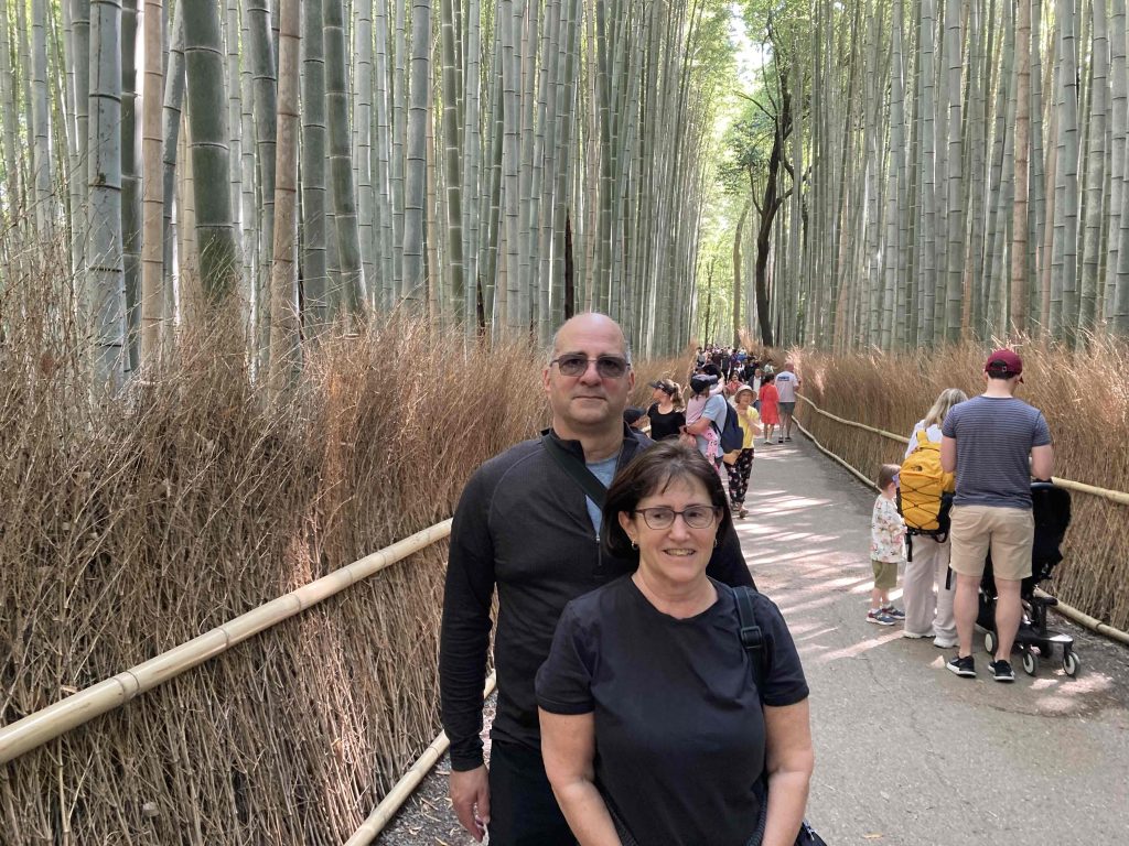 Kyoto Customized Private Tour in 1 Day