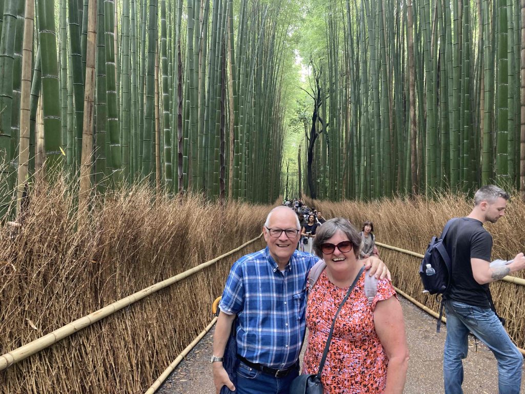Kyoto Customized Private Tour in 1 Day