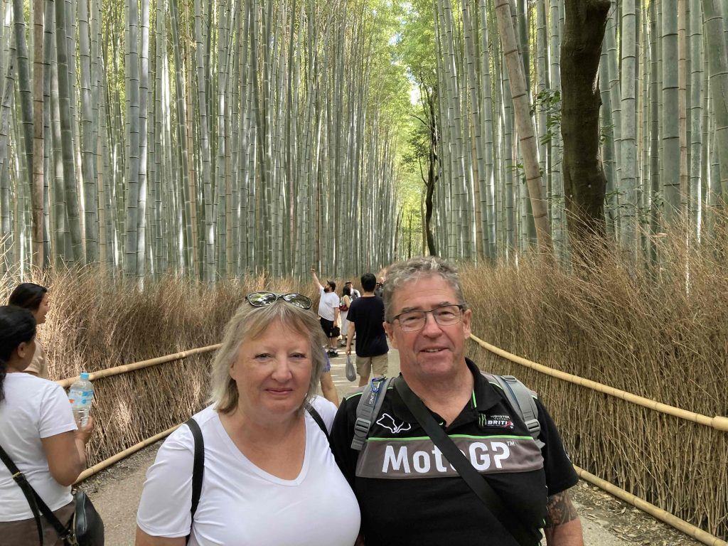 Kyoto: Return to hotel and end tour