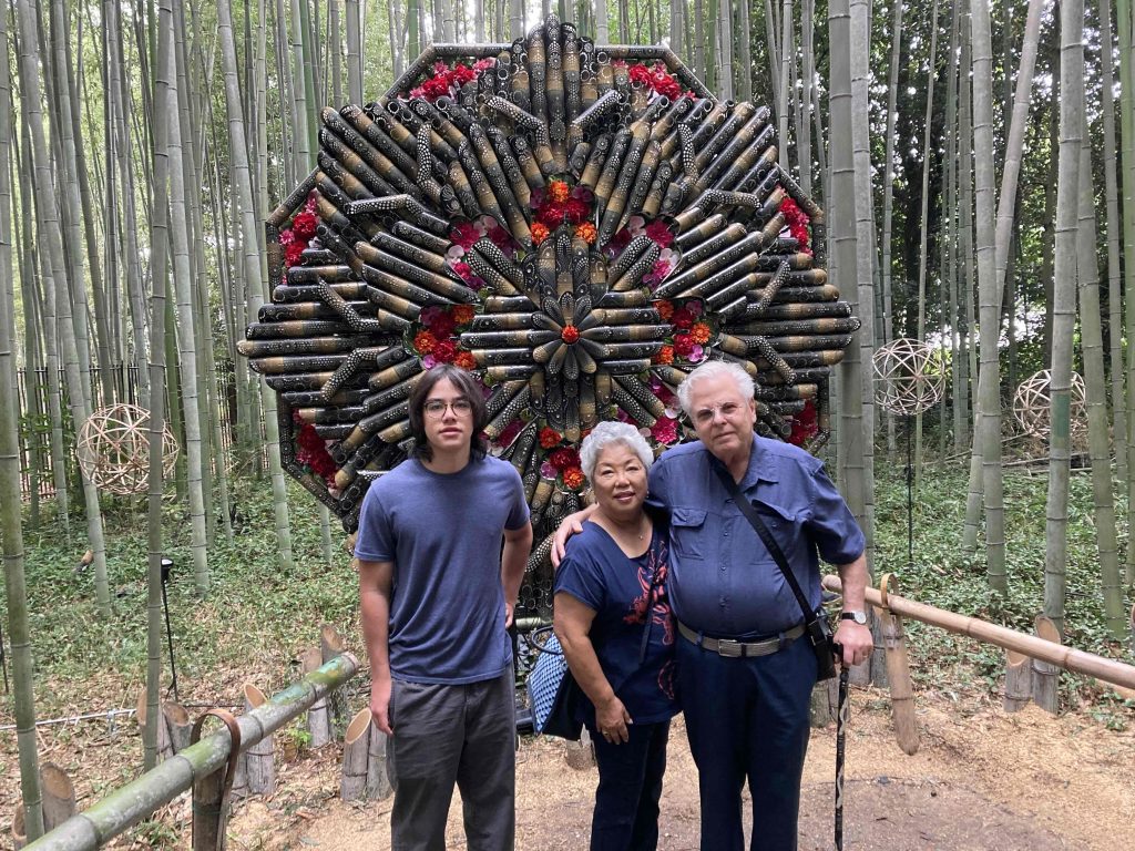 Kyoto in 1 Day from Osaka: Private Car Tour