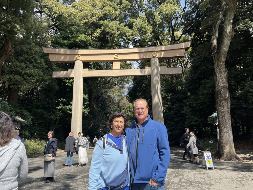 Tokyo in One Day: Meiji Shrine & Asakusa