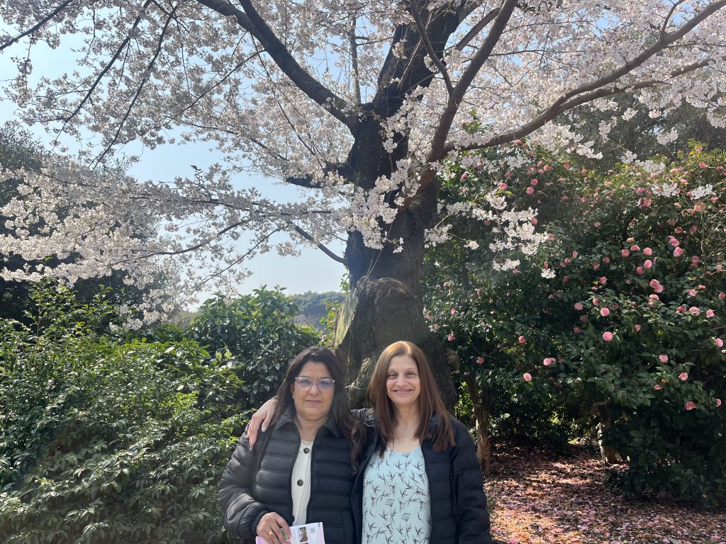 Tokyo in One Day: Shinjuku Gyoen & Asakusa Stroll