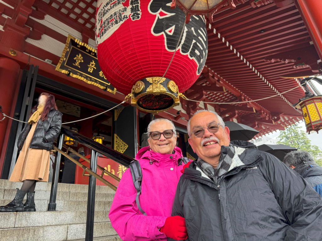 Tokyo in Half a Day: Imperial Palace East Gardens & Meiji Shrine