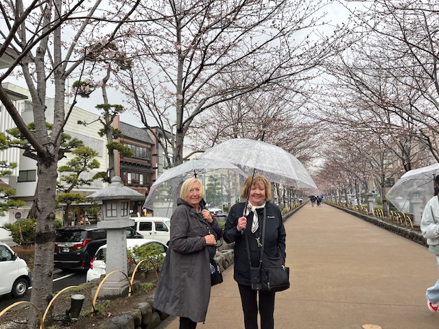 Kanagawa: Tsurugaoka Hachimangu Shrine & Hokokuji Temple