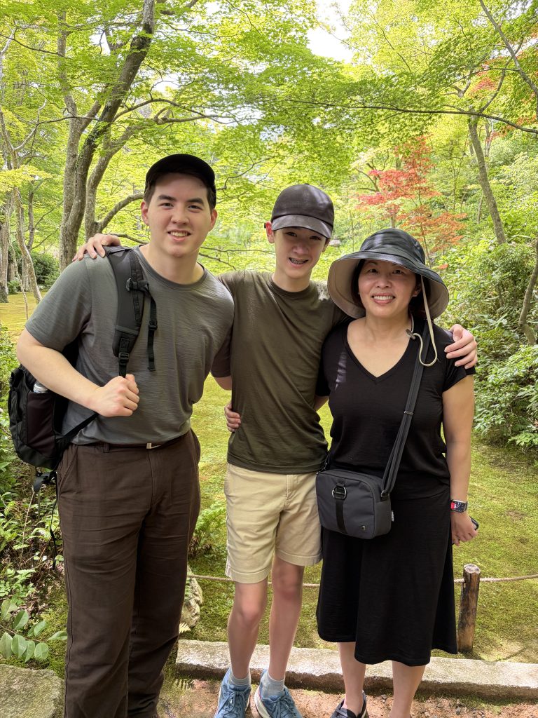 Kyoto in One Day: Kinkaku-ji Temple & Nijo Castle