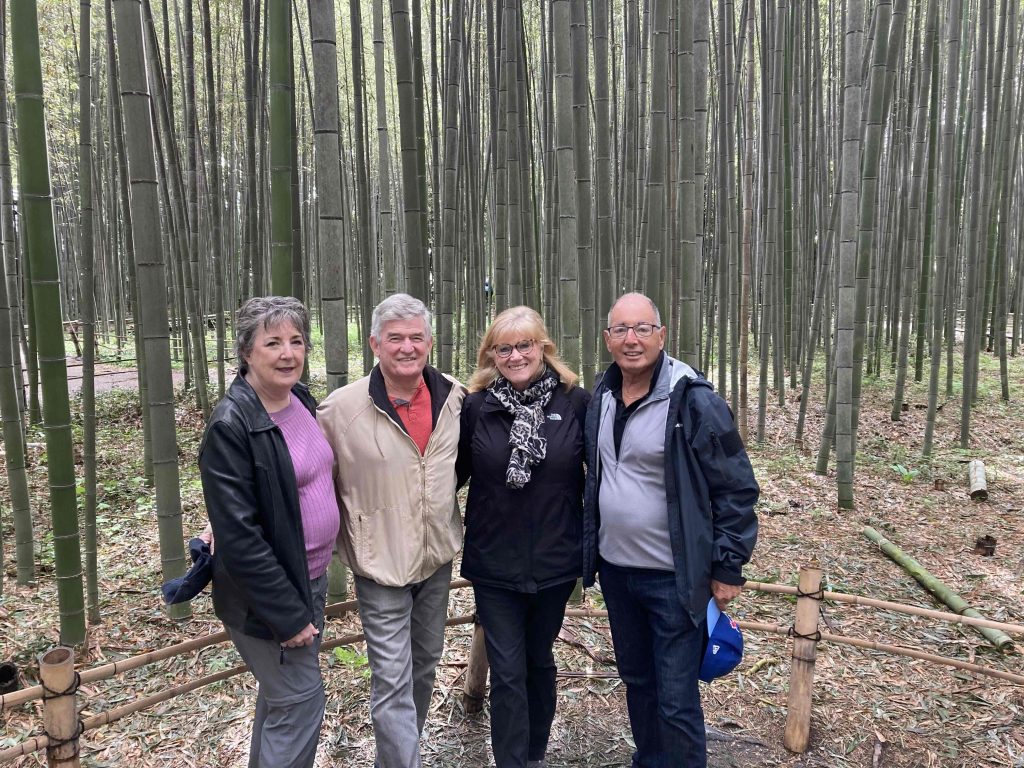Kyoto in 1 Day from Kobe: Private Car Tour
