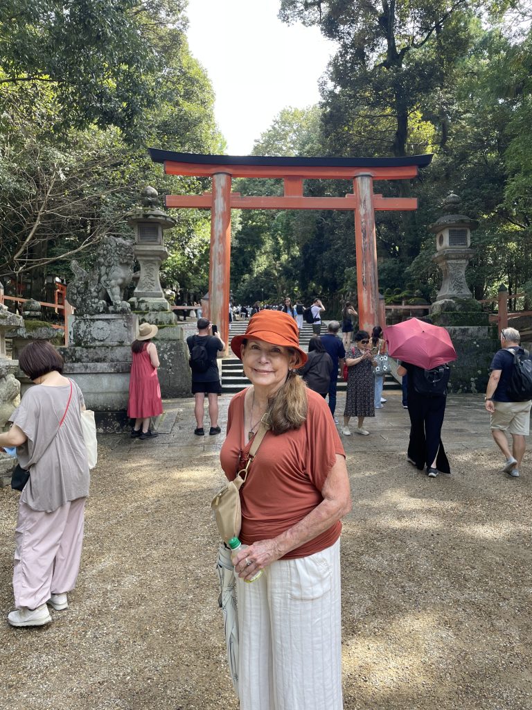 Nara in One Day: Kasuga Taisha Shrine & Yoshikien Garden