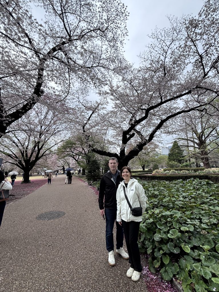 Tokyo in One Day: Meiji Shrine & Shibuya