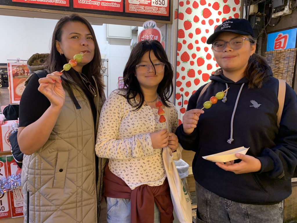 Tokyo Customized Half-Day Tour
