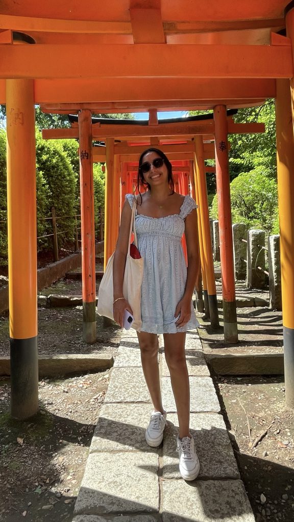 Tokyo Customized Private Tour in 1 Day