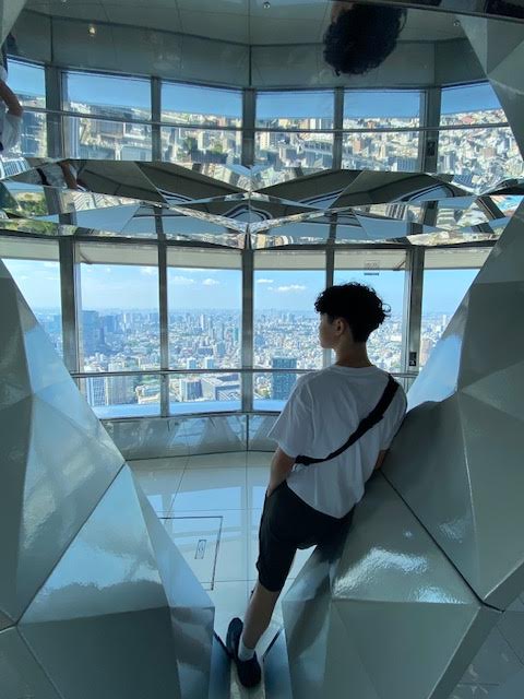 Tokyo Customized Private Tour in 1 Day