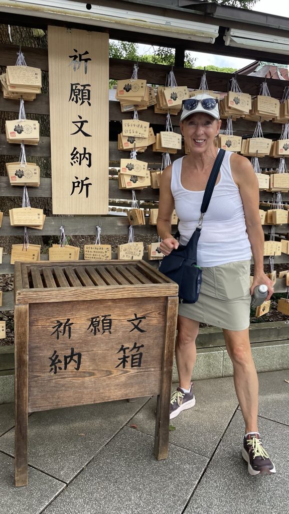 Tokyo Customized Private Tour in 1 Day