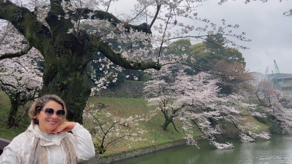 Tokyo in One Day: Ueno (Ueno Park) & Chidorigafuchi