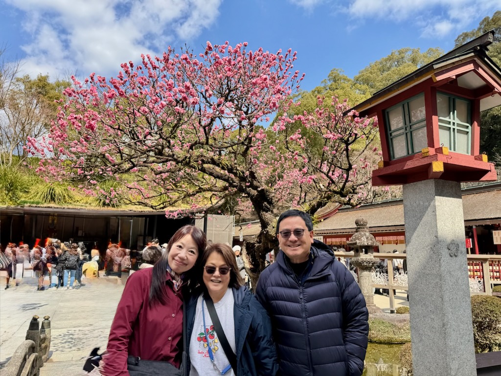 Hakata Shore Excursion: Customized Car Tour