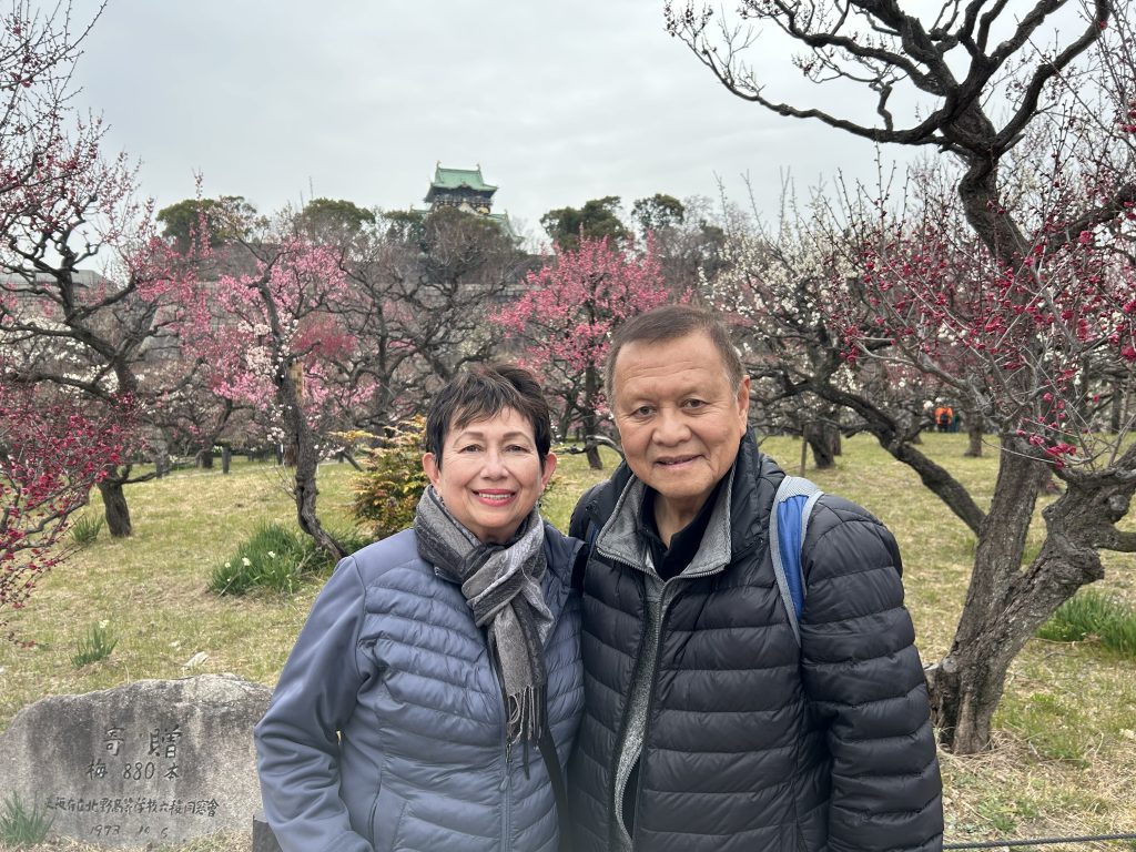 Osaka Customized Half-Day Tour
