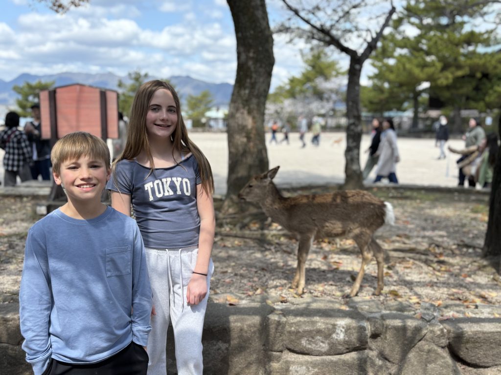 Hiroshima in One Day: to 14:00 at Miyajima & to 16:30 Museum
