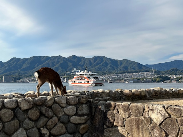 Hiroshima in One Day: Peace Memorial & walk to Okonomiyaki restaurant