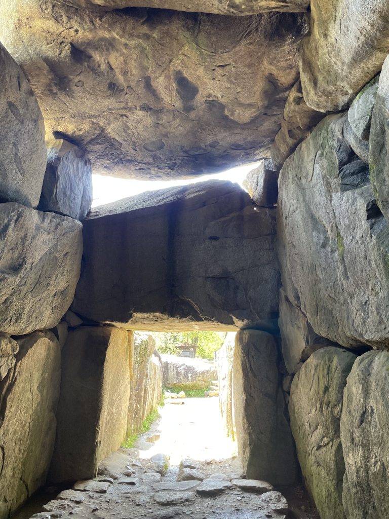 Kyoto in One Day: Nijo Castle & Fushimi Inari Taisha Shrine