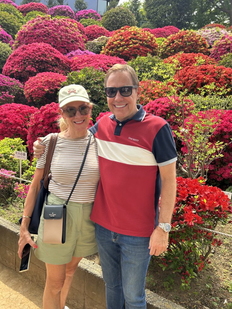Tokyo in One Day: Meiji Shrine & Yanaka Ginza