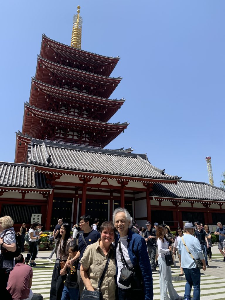 Tokyo Customized Private Tour in 1 Day