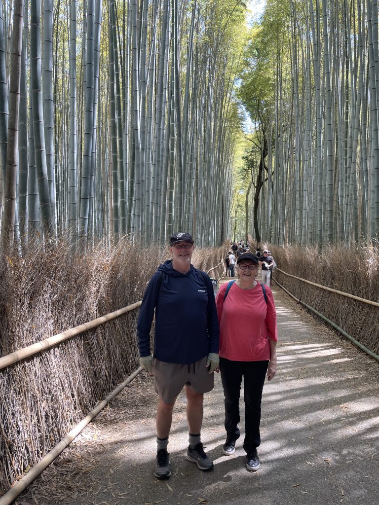 Kyoto in One Day: Togetsukyo Bridge & Kinkakuji Temple