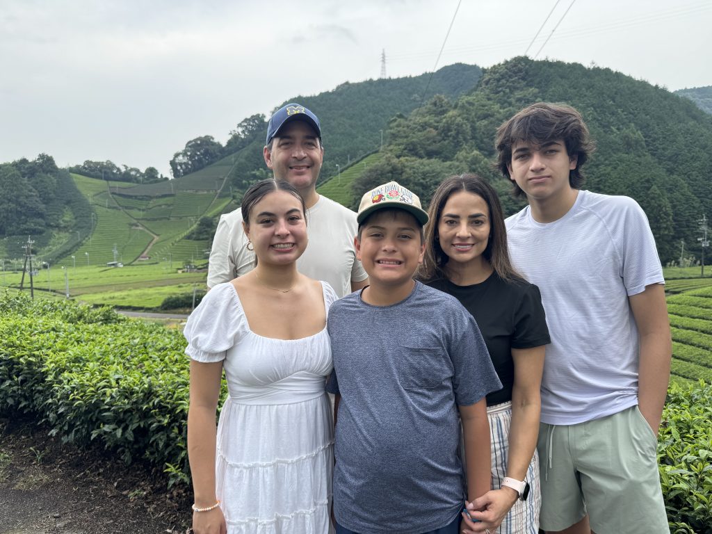 Shizuoka Green Tea Farm Tour by Car