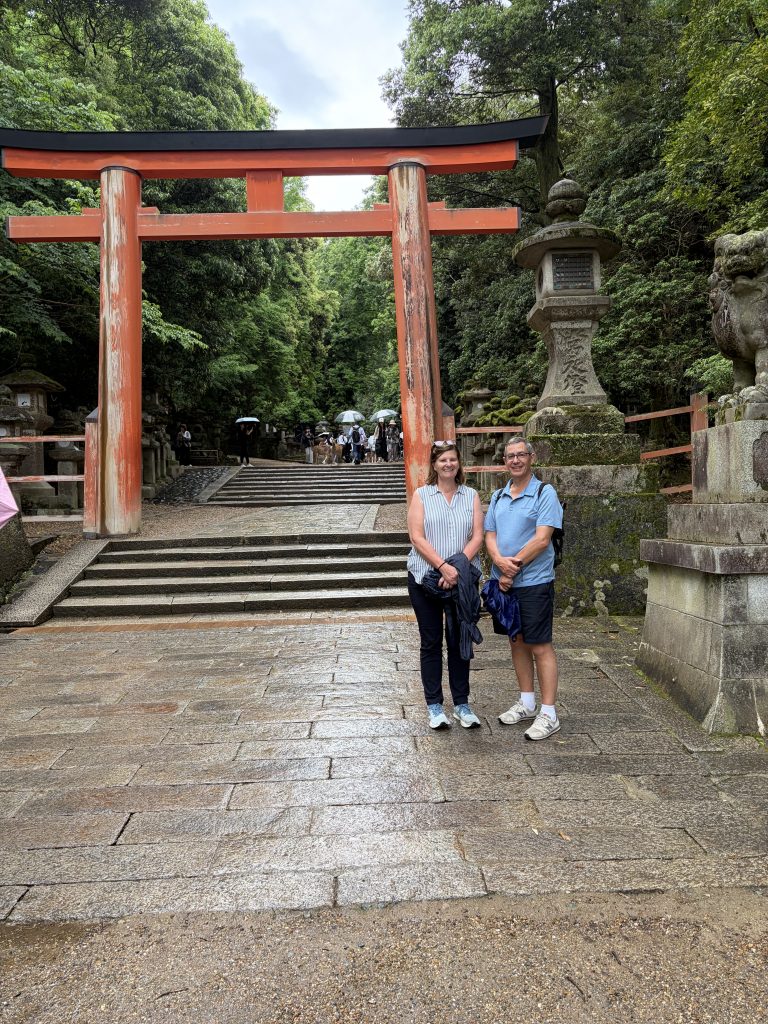 Nara in One Day: Kasuga Taisha Shrine & Naramachi Nara Nigiwai no Ie