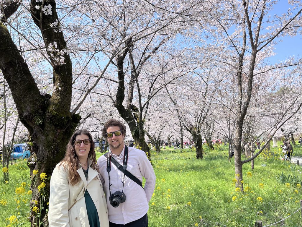 Kyoto in Half a Day: Kinkaku-ji Temple & Nijo Castle