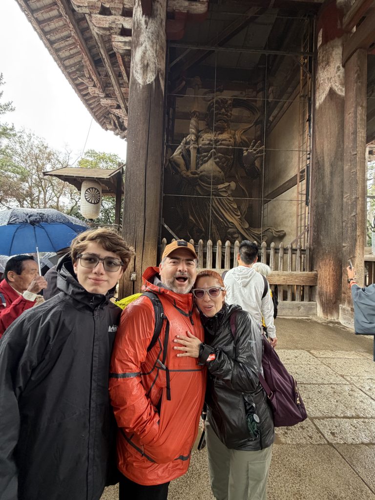 Nara Day Trip by Car: Kyoto to Osaka
