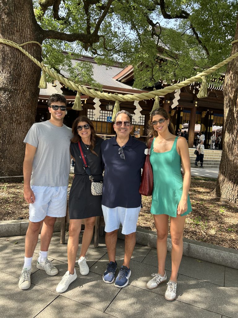 Tokyo in One Day: Akihabara & Meiji Shrine