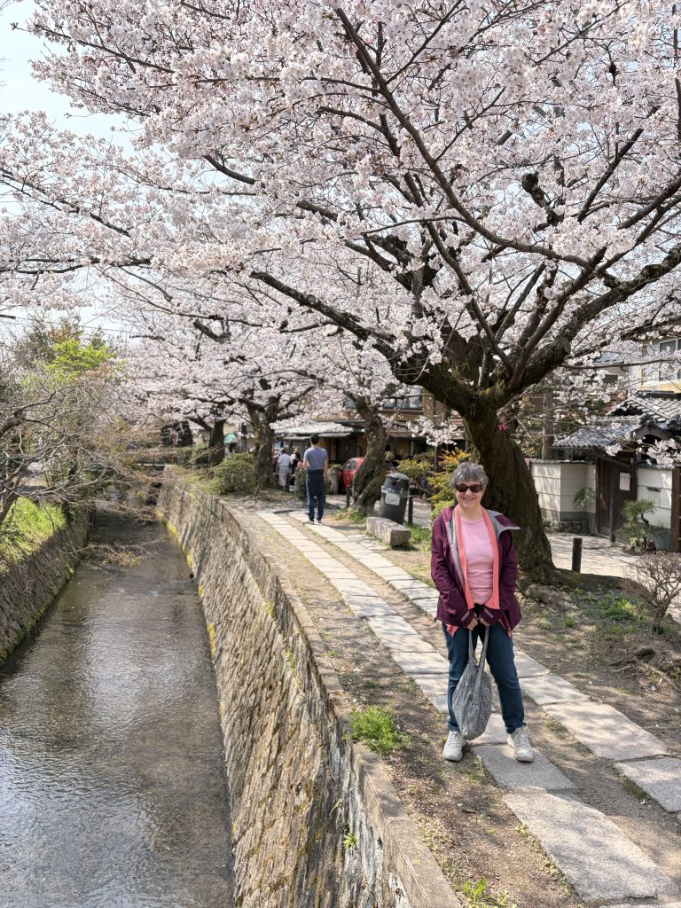 Kyoto Customized Half-Day Tour
