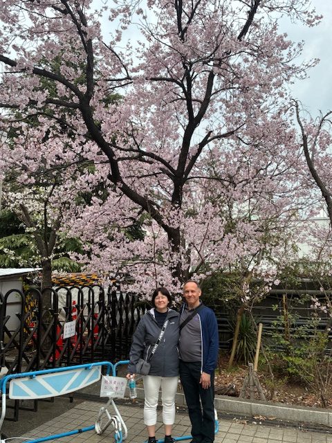 Tokyo in One Day: Guide to Hanazono Shrine & Ueno Park