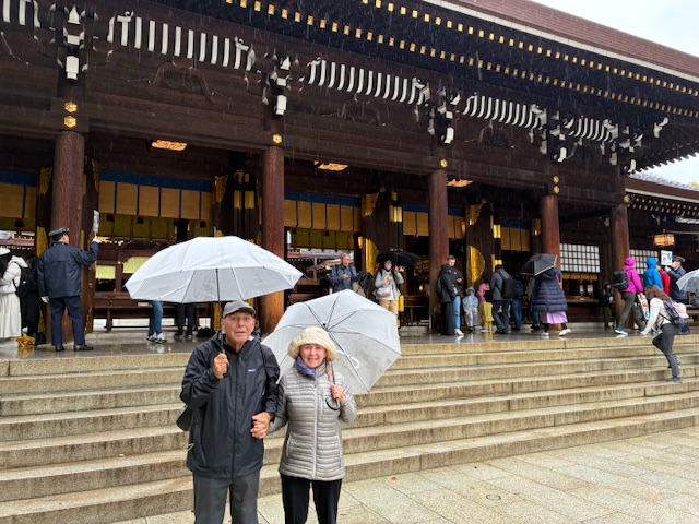 Tokyo in One Day: Meiji Shrine & Shinjuku Gyoen